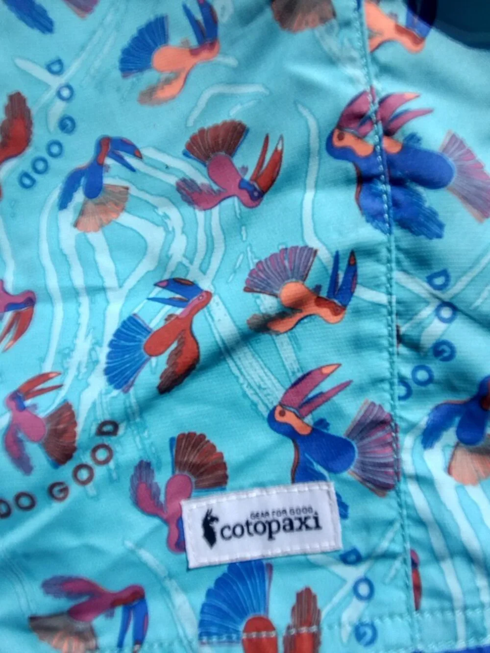 Cotopaxi Boy's Crocadilo Print Shorts Swim Trunks